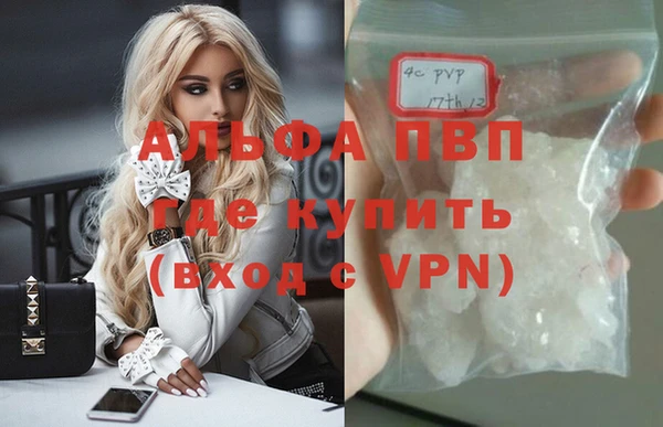 прущие грибы Краснослободск