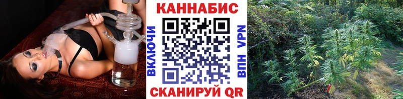 Шишки марихуана Ganja  Пудож 